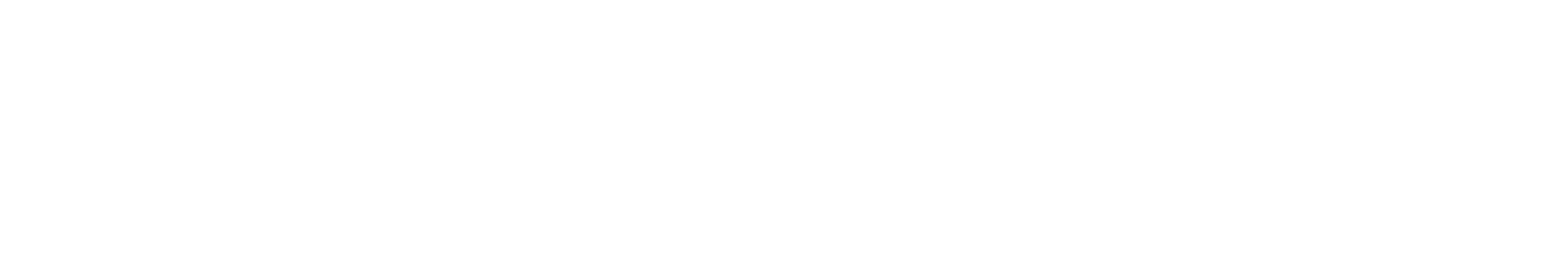 Camp of Dance — La Revolución